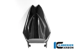 Unidad de asiento Racing Carbon - BMW S 1000 RR (desde 2015)