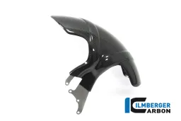 Trasera Hugger Carbon Offroad - BMW R nineT Urban GS / Scrambler