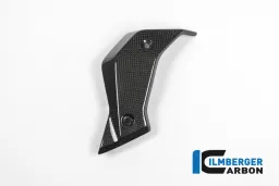 Tapa del refrigerador de agua lado izquierdo de carbono - BMW R 1200 R (LC) de 2015