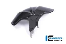 Guardabarros trasero BMW R 1200 R / RS '18