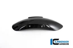 Guardabarros delantero de carbono (diseño original) - BMW R Nine T