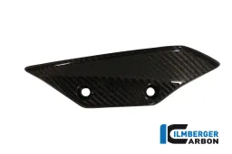 Aleta lateral del carenado (izquierda) Carbono - BMW S 1000 RR Straße (2012-2014) / HP 4
