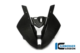 Carenado delantero de carbono de la carrera - BMW S 1000 RR (desde 2015)
