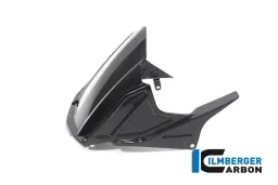 Guardabarros trasero brillo CBR 1000 RR-R/SP 2020