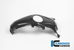 Panel central del tanque de carbono - BMW R 1200 R (LC) de 2015 / BMW R 1200 RS (LC) de 2015