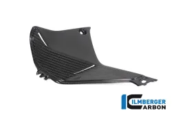 Tapa cerca del instrumento lado izquierdo BMW R 1250 RS´19