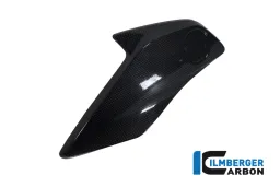 Cubierta del radiador (izquierda) Carbono - BMW R 1200 GS (LC de 2013)