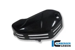 Cubierta RockerCover (izquierda) Carbono - BMW R 1200 GS (LC) de 2013 a 2015