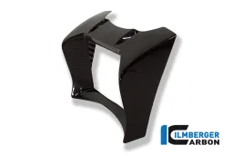 Cubierta del enfriador de aceite Carbono - BWM R 1200 R