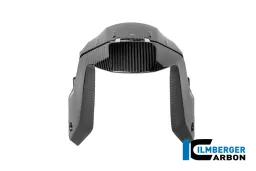 Guardabarros delantero de carbono brillante BMW R 1300 R