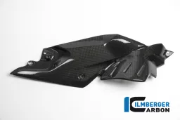 Panel lateral debajo del tanque derecho Carbón lateral - BMW R 1200 R (LC) de 2015