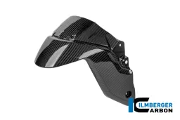 Guardabarros delantero de carbono brillante BMW R 1300 R