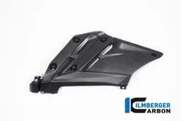 Inserto de quilla izquierdo mate Ducati Streetfighter V2