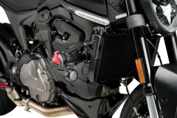 Protectores de Motor R19