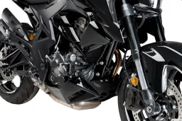 Protectores de Motor R19