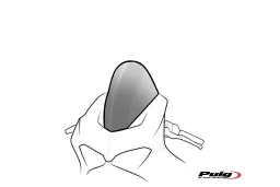 Cúpula R-Racer